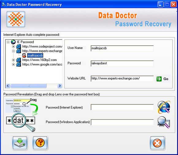 Screenshot of IE Passwords Recovery Software