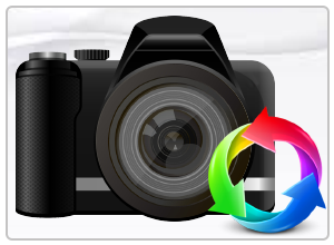 Digital Camera Recovery